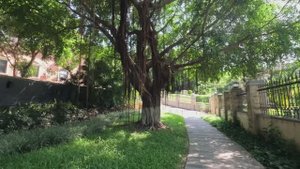 Китай, Сямен (Xiamen), Jul 2024, Gulangyu Island, Short Version