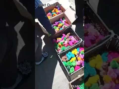 Хар хил Рангдаги Жожалар/ Xar xil Rangdagi Jo'jalar Xorazimda смотреть онлайн