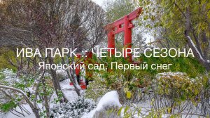 ИВА ПАРК :: Японский Сад. Первый снег. Взгляд через объектив.