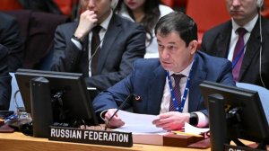 First DPR Dmitry Polyanskiy at UNSC Briefing on Political  and Humanitarian Situation in Syria