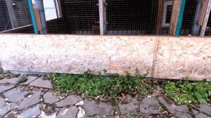 зимец подкрался не заметно