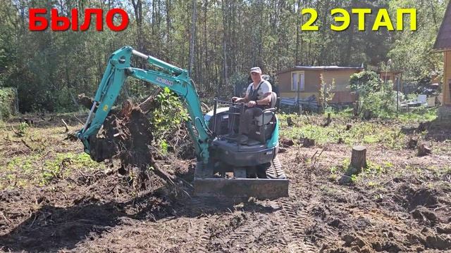 Расчистка участка в Московской области.