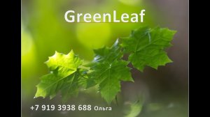 Тренд 2019 года! Не упустите! GREEN LEAF!