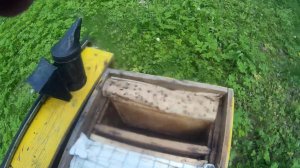 Моё пчеловодство в Удмуртии.