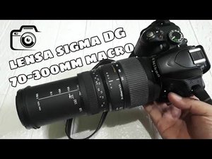 Lensa tele sigma 70 300mm | review Lensa sigma 70-300mm + Nikon D3200