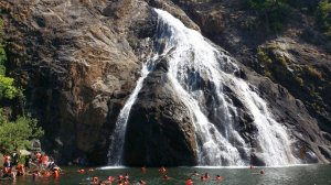 ГОА-2024. Экскурсия "Весь ГОА за 1 день" Водопад Дудхсагар. Идём к водопаду. Обезьяны. Водопад.