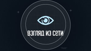 Взгляд из сети 25 11 24
