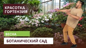 Весна в Ботаническом саду февраль)