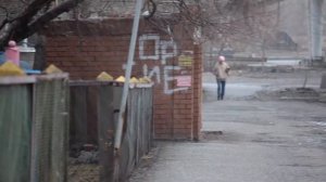 Взгляд из окна