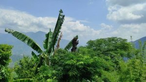 12590125_3840_2160_30fps