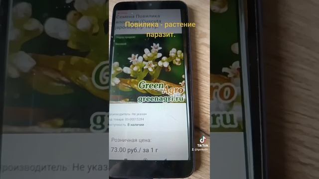 Повилика - растение паразит.