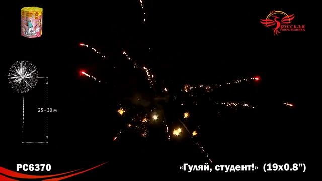 РС6370 Фейерверки, батареи салютов Гуляй, студент (0,8х19) смотреть онлайн