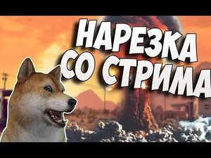 Собака стример - нарезка смешных моментов | дота не затянула