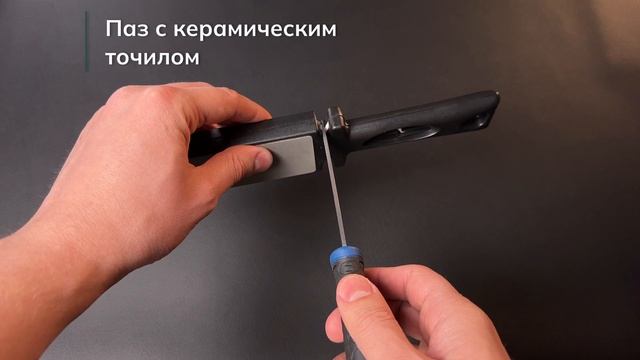 Точилка для ножей Ganzo Pro Sharp