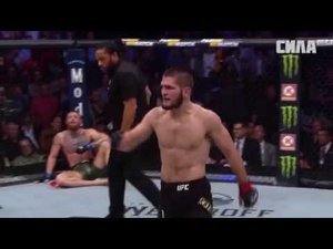 Хабиб обматерил Конора