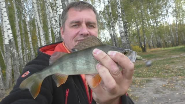 Ловля окуня в сентябре на джиг. Грубая ошибка лишила трофея. Обдало брызгами .. смотреть онлайн