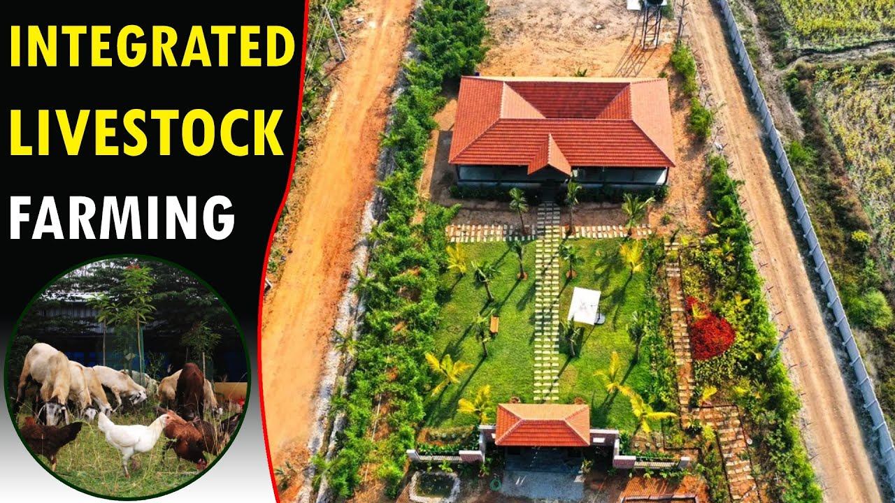 Integrated Livestock Farming Business Ideas | Most Profitable Agriculture