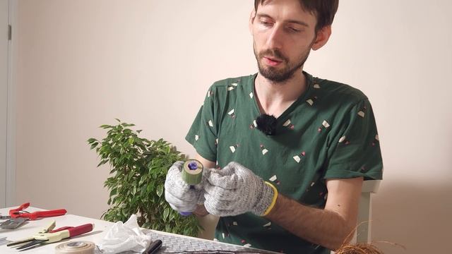 Зимняя прививка окулировкой