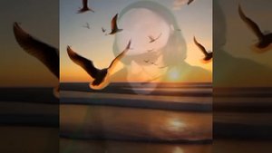 Жизнь похожа на позднюю осень... и другие песни...сборка