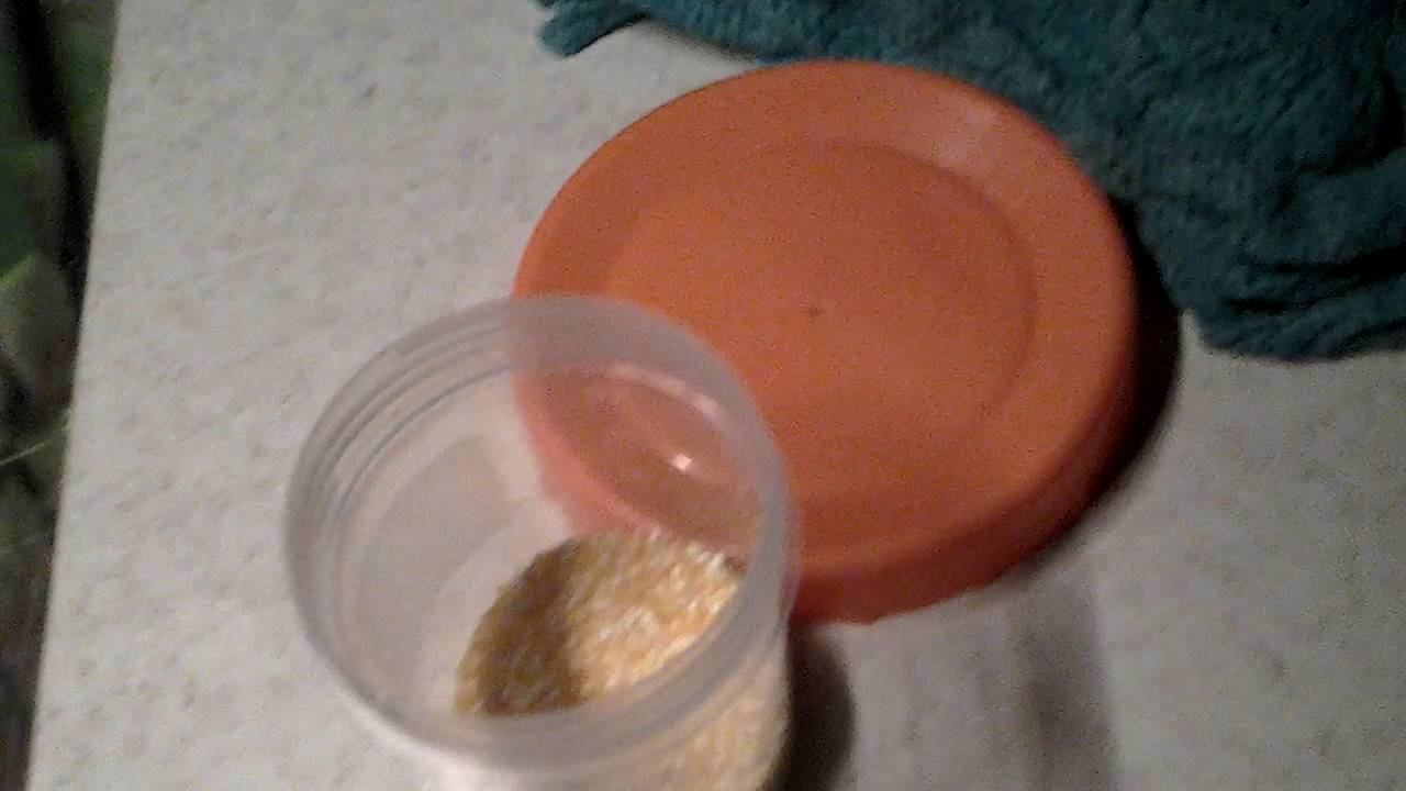 Опыт на едой смотреть онлайн