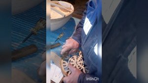 InShot_20230327_140155279.mp4