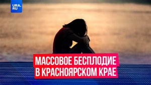 Сильный смог вызывает массовое бесплодие у жителей Красноярского края