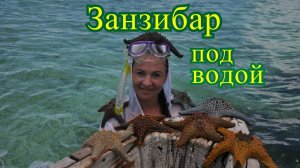 Занзибар под водой