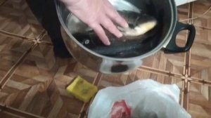 Поймали Гигантского карася на ночной рыбалке