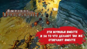 Empires of the Undergrowth обучение, возможно ли муравьям выжить в аквариуме?