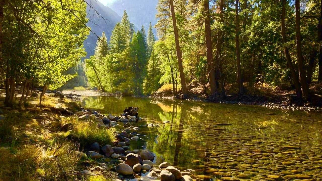 Звуки природы. Река, лес, пение птиц. Для релаксации, отдыха, сна. смотреть онлайн