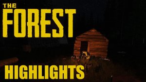 The Forest COOP - HIGHLIGHTS