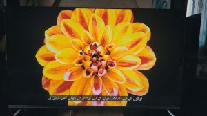 ОБЗОР КРУТОГО ТЕЛИКА DEXP Q501