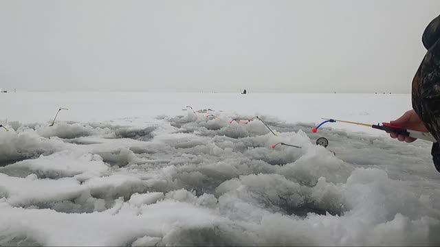 Корюшка Финский залив январь Финский залив СПб смотреть онлайн