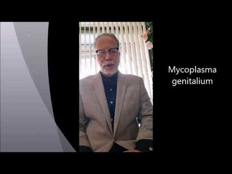 Mycoplasma genitalium