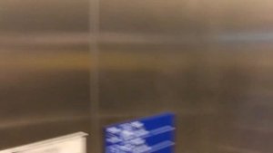 Панорамный Лифт ThyssenKrupp Evolution 2008 г. @ Аэропорт Внуково