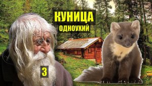 ПЕШКОМ по ТАЙГЕ РАБОТА на ВАХТЕ ДЕД в ЛЕСУ СУДЬБА в ТАЙГЕ ДОМ в ЛЕСУ ИСТОРИИ из ЖИЗНИ СЕРИАЛ 3