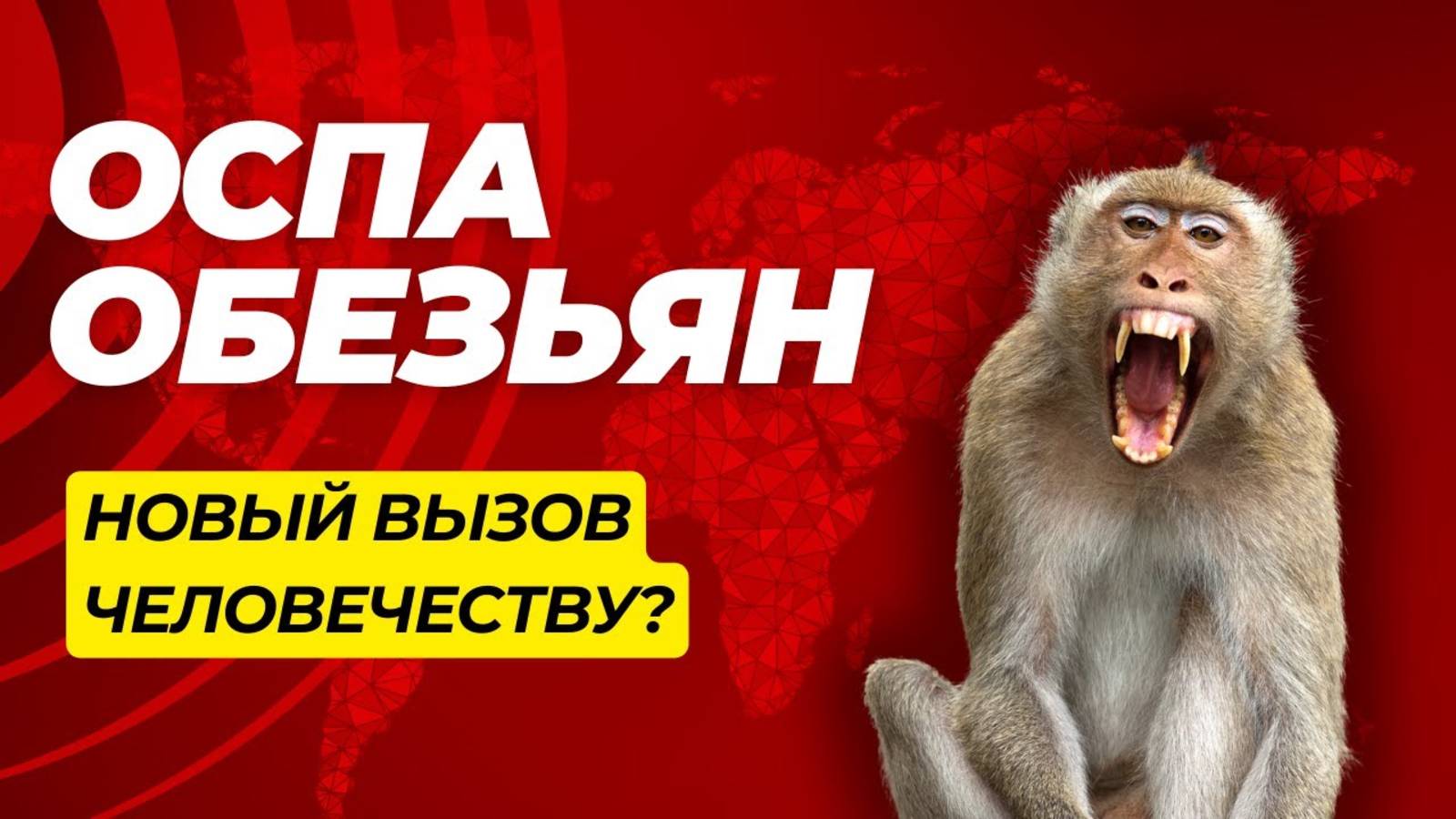 Оспа Обезьян: Что Нужно Знать о Вспышке 2024 Года