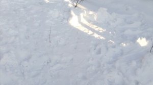 Вот что будет скоро