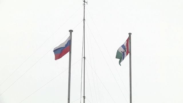 24.11.24 Позиция