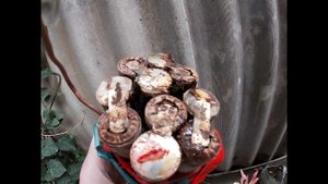неожиданный сильный перегрев старых никель-кадмиевых аккумуляторов при нормальной зарядке