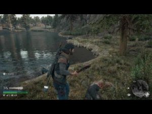 Орда у озера Пэтженс #3 DAYS GONE