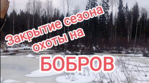 Закрытие сезона охоты на бобров.