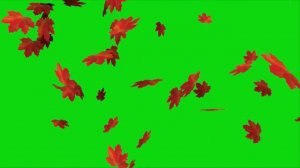 Падающие листья 👍 Хромакей. Анимация для видео