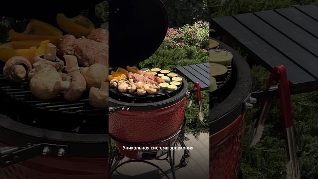 Керамический гриль Kamado Joe #гриль #керамическийгриль #грильяйцо