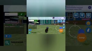 играем в кошка симулятор 😺😺😺