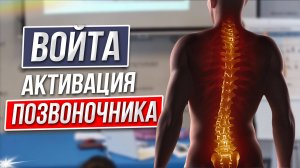 Войта-терапия активирует движения позвоночника.