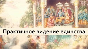 Практичное видение единства — Бхакти Викаша Свами