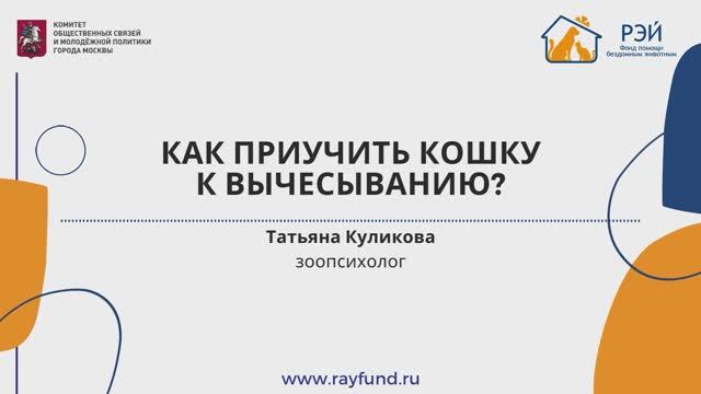 Как приучить кошку к вычёсыванию?