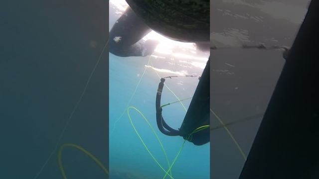 Кайф от подводной охоты