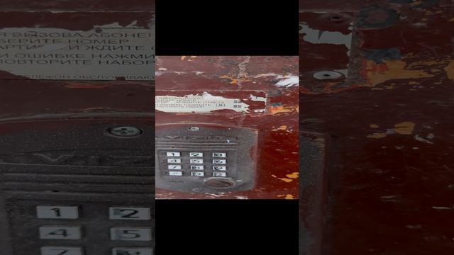 25-11-2024 5-16 домофо